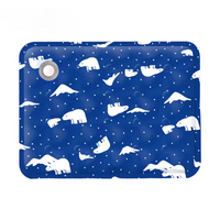 Polar Expedition