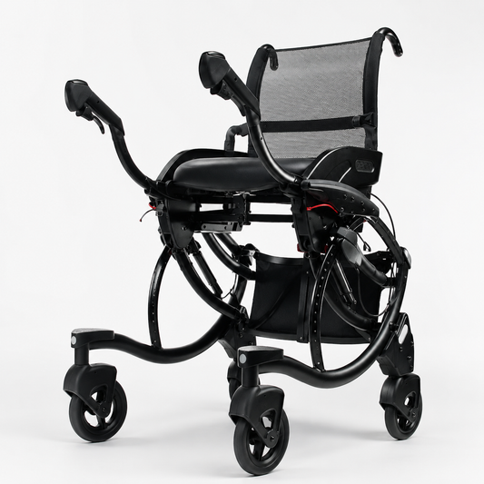 Sit-to-Stand Mobility Support